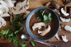 Raw-Creamy-Mushroom-Soup-460x306