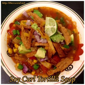 tortilla soup (21)